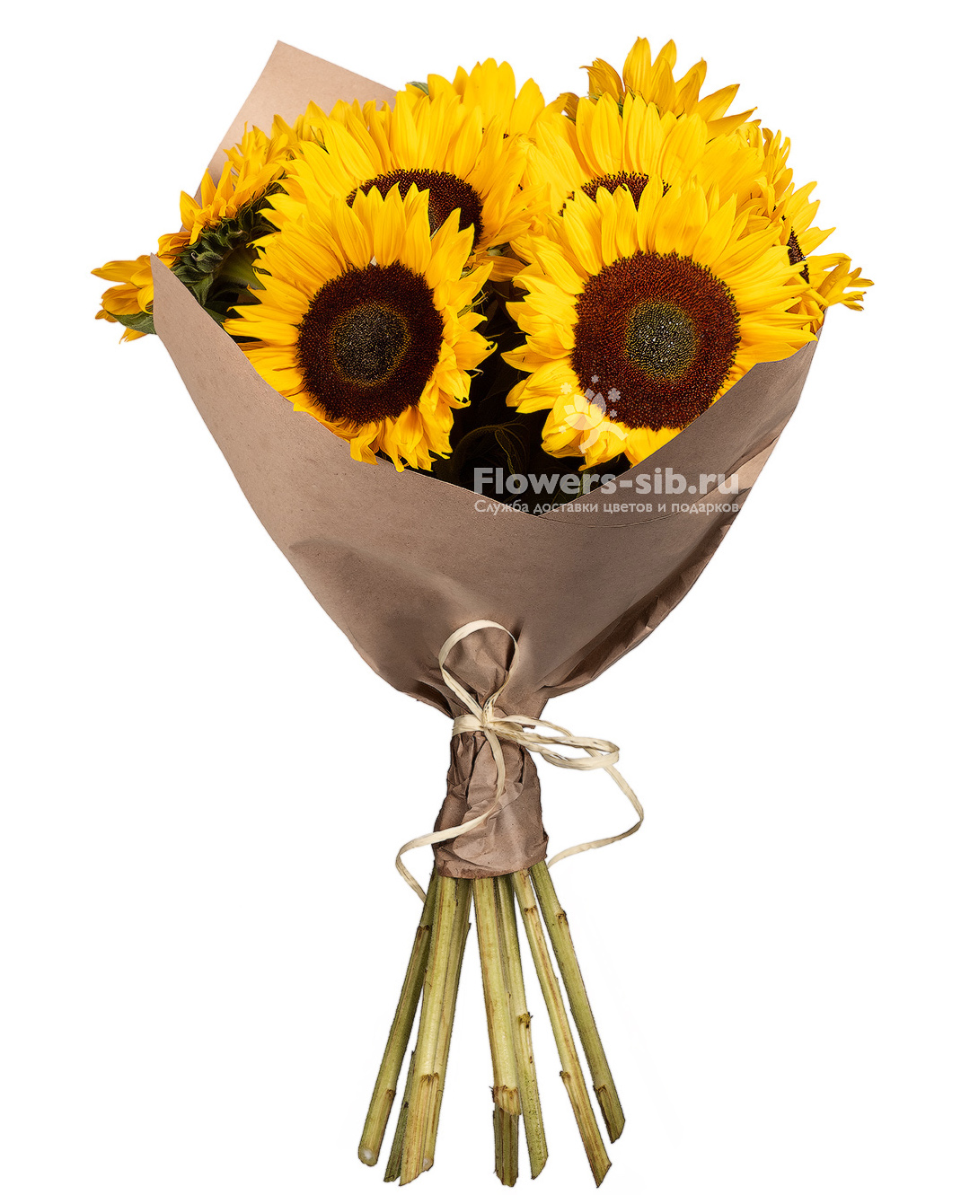 Bouquet of sunflowers